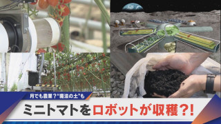 ミニトマトの収穫をロボットで?人手不足を救う最先端農業【newsX】